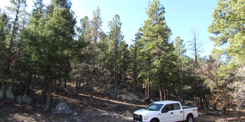 $125,000Slide Rock LotUte Park, NM