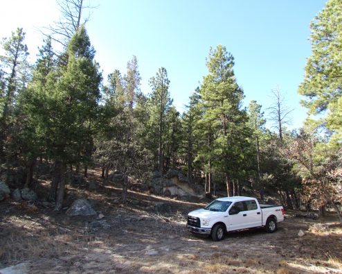 $125,000Slide Rock LotUte Park, NM