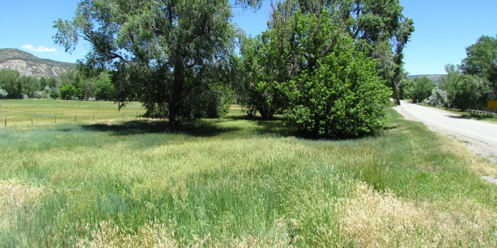 $55,000Old Town Treed LotsCimarron, NM