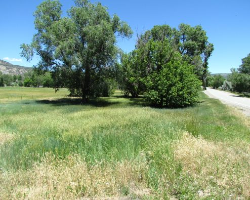 $42,000Old Town Treed LotsCimarron, NM