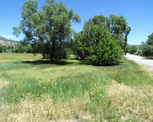 $55,000Old Town Treed LotsCimarron, NM