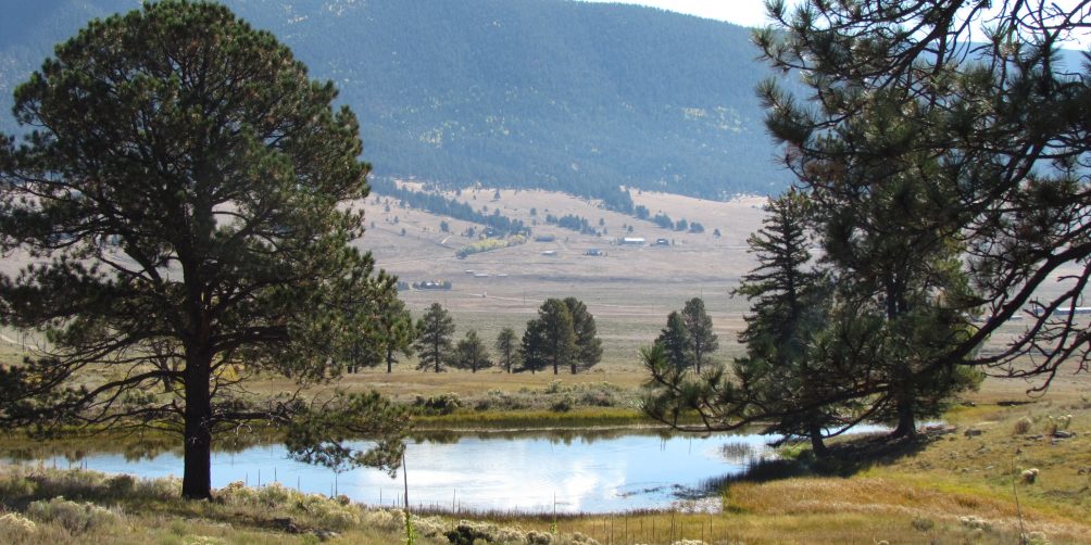 $3,629,000.00   27989 US HWY 64 Eagle Nest, NM    594.38 +/- Deeded Acres