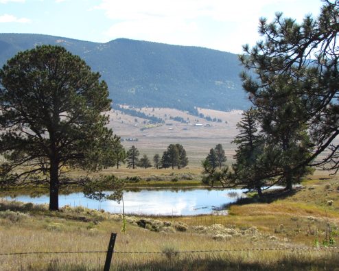 $3,629,000.00   27989 US HWY 64 Eagle Nest, NM    594.38 +/- Deeded Acres