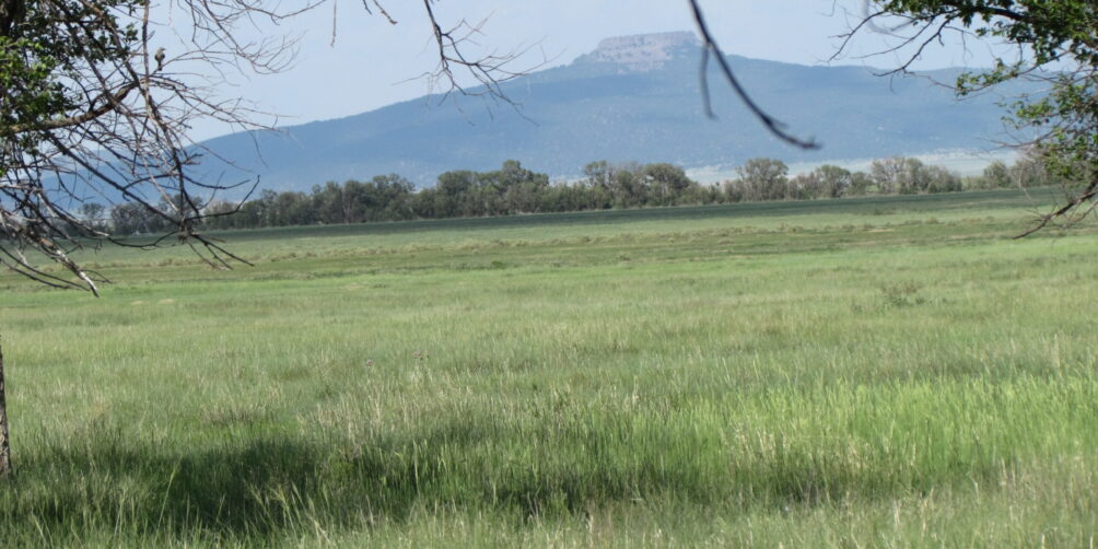 $599,000   408.90 +/- Deeded Acres          Maxwell Farm, Maxwell NM 87728