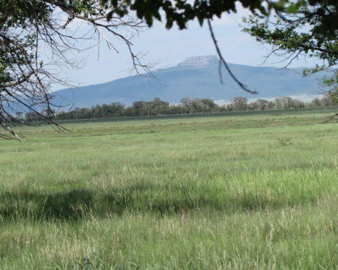 $599,000   408.90 +/- Deeded Acres          Maxwell Farm, Maxwell NM 87728