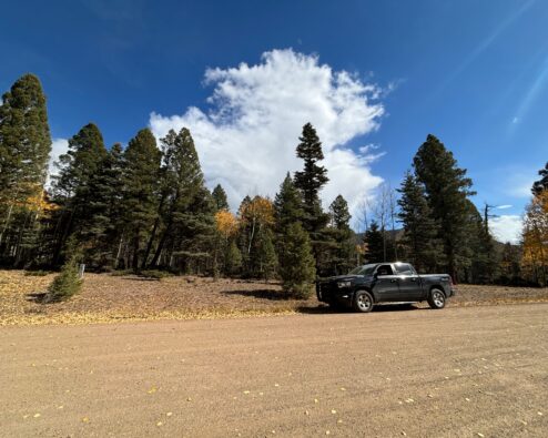 TBD Royal Road Angel Fire NMLot 1496 Chalet #2-3B