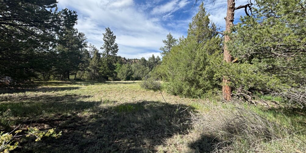 $110,00029655 HWY 64, Ute Park 1.85 +/- Acre Vacant Lot
