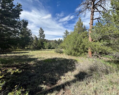 $110,00029655 HWY 64, Ute Park 1.85 +/- Acre Vacant Lot